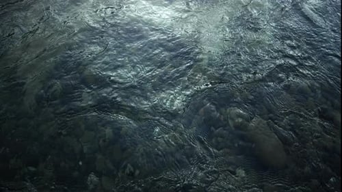 Clear Water Flowing Over Rocky Bottom