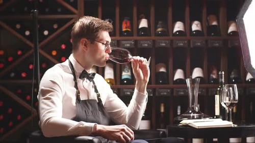 Cavist at Wine Store, Sommelier at Restaurant, Wine Critic. Wine Degustation