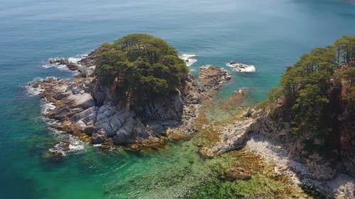 Rocky Island wird von Wellen mit Nadelbäumen in einer Meeresbucht gewaschen