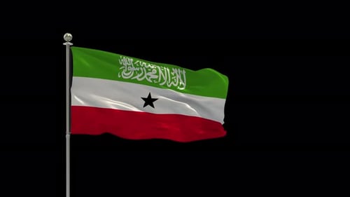Animated Waving Flag with Arabic Script and Black Star