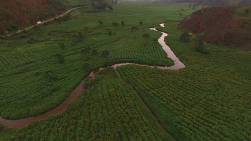 Aerial view of a river passing through a field