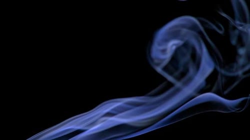 Humo