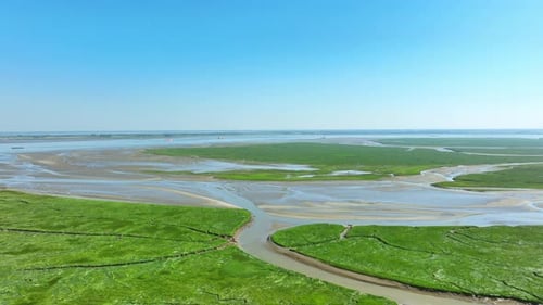 Spectacular long aerial shot of vibrant green wetlands and muddy rivers under a cloudless blue sky