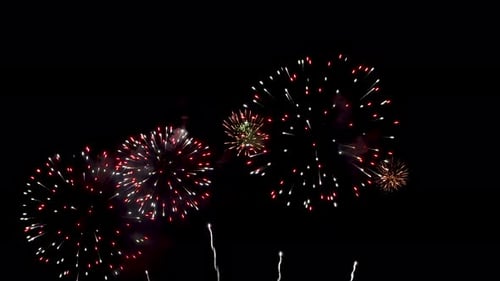 Brilliant Colorful Fireworks Exploding in the Night Sky