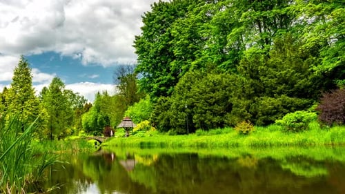 Calm lake in green city park.