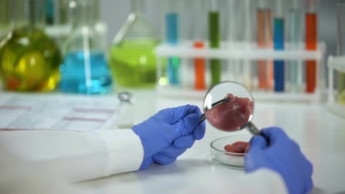 Close Up Food Science in Laboratory