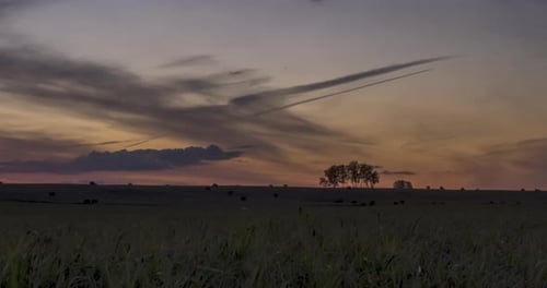 Flat Hill Meadow Timelapse at the Summer Sunrise Time
