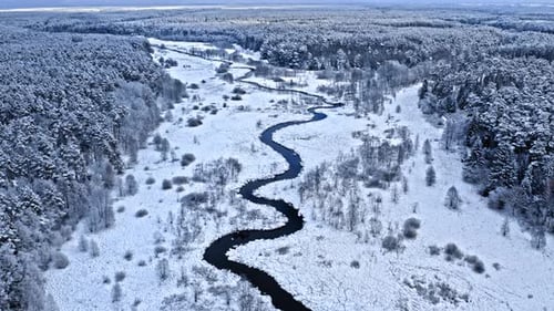 Curvy river and frozen forest in winter, aerial view