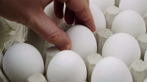 Hand legt viele weiße Eier und ein braunes Ei auf die Plattform, Nahaufnahme