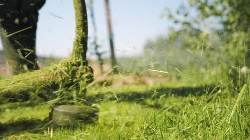 Male Gardener Mowing Green Lawn with Manual Gas Grass Mower Garden Maintenance