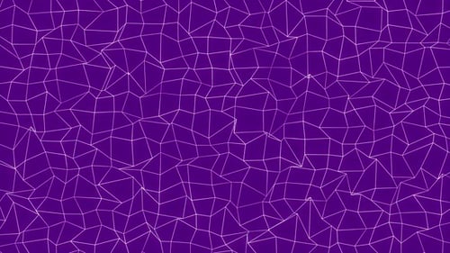 Abstract sci-fi white grid or wireframe net footage