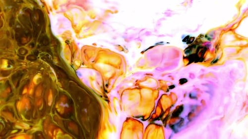 Color Explosion abstraktes Kunstgemälde 273