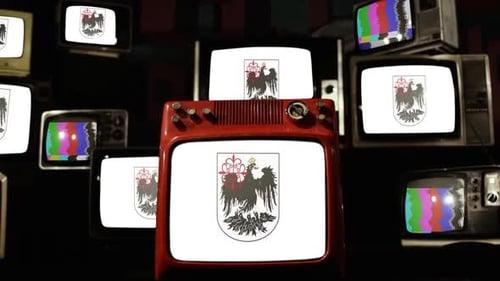 Collection of Retro Vintage Televisions Displaying Static