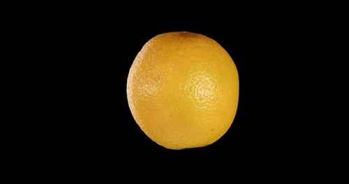 Ripe Orange Rotates Alpha Channel