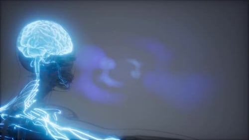 Futuristic Human Brain and Nervous System with Glowing Neural Activity