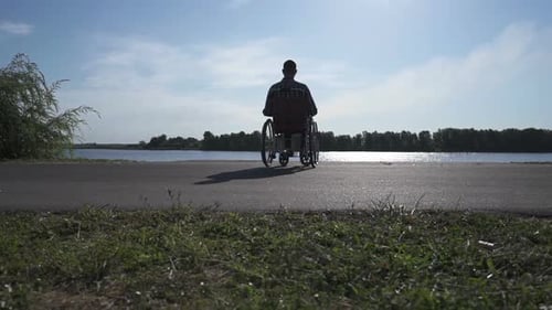 Man in Wheelchair at Lakeside on Sunny Day