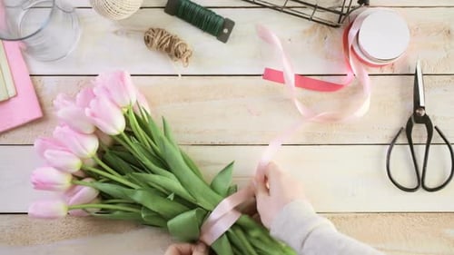 Hands Tie Pink Tulips into Beautiful Bouquet