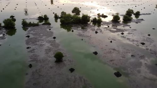 Aerial view beauty reflection of sun over wetland