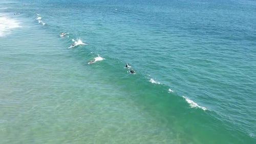 Surfers Ride Waves Along Turquoise Ocean Coast