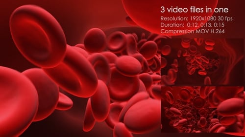 Erythrocytes Flow