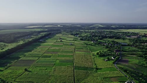 Drone Flies Over Green Agriculture Field