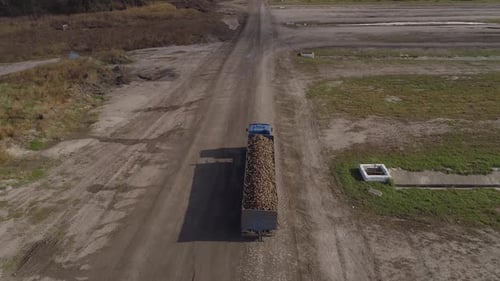 Die Bewegung eines Lastwagens mit einem mit Zuckerrüben gefüllten Anhänger