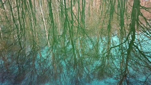 Wald, See 2