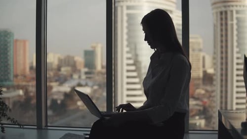 Portrait of Business Woman Working on a Laptop By the Window in the Office. Girl Silhouette on a