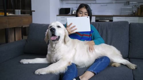 Woman on Couch with Golden Retriever and Tablet