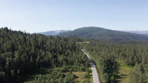 Aerial VIew of an Asphalt Road Crossing the Vast Woodland on a Sunny Morning