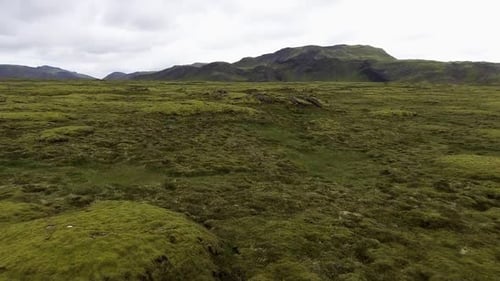 Aerial View of Mossy Lava Field in Iceland