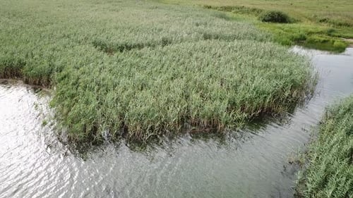 Yanovichskoe Lake And The Vymnyanka River