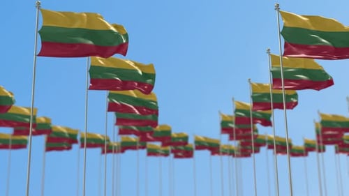 Waving Lithuanian Flags on Poles Against a Blue Sky