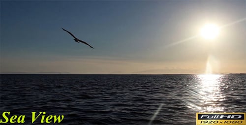 Blick aufs Meer