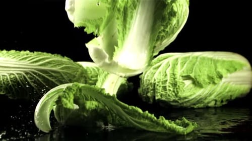 Beijing Cabbage Leaves Fall on the Table