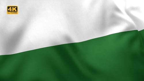 Realistic White and Green Flag Waving Loop Background