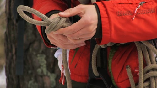 Climber Training