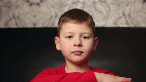 Portrait of Boy Looking Into a Camera Smiling