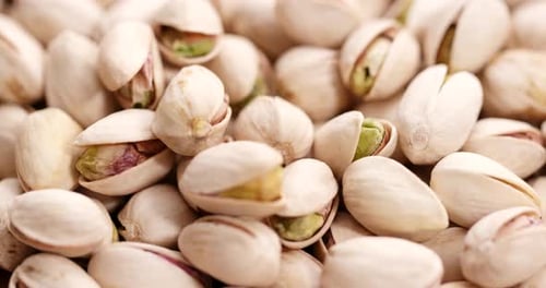 Close Up of Fresh Pistachios In Shell
