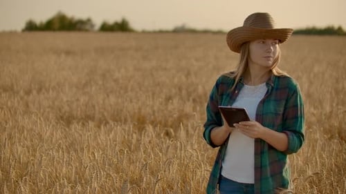 Young Woman Farmer Working with Tablet in Field at Sunset