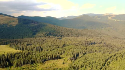 Beautiful Panorama of Mountains Covered with Green Forests on a Sunny Day