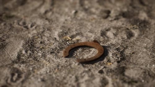 Rusty Horseshoe on Dirt Ground