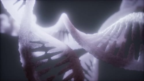 Loop Double Helical Structure of Dna Strand Close-up Animation