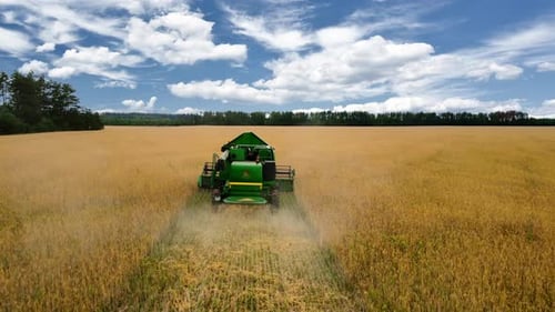 Drone aerial flying over combine harvester working on wheat field