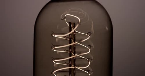Light Bulb