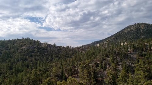 Panorama du sommet de la montagne et de la forêt au mont Charleston Nevada
