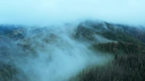 Mountains Rain Forest Weather Clouds Aerial Tree Autumn