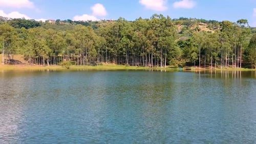 Aerial View of Lake with Forest