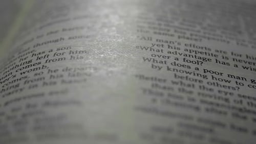 Bibeltext