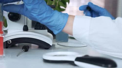 Close-up of Scientist Dropping Liquid with Pipette on Petri Dish and Then Examining It Under